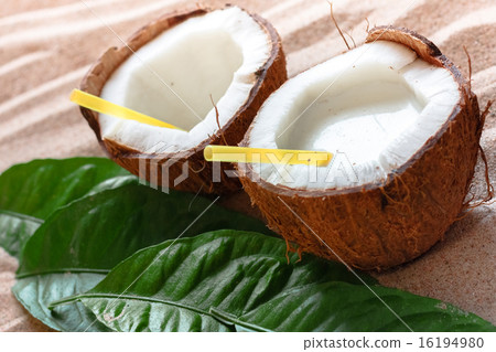 coconut on the sand beach 16194980