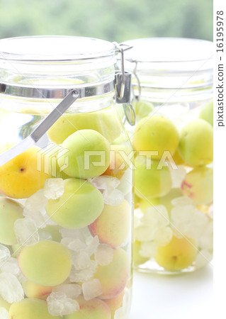 Plum wine Plum wine 16195978