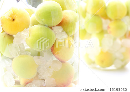 Plum wine Plum wine 16195980