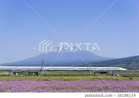 Shinkansen和Mt. Fuji和Ota Oka晴朗的藍天復制空間 Shinkansen和Mt. Fuji和Ota Oka晴朗的藍天復制空間 16196114