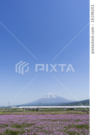 Shinkansen和Mt. Fuji和Ota Oka晴朗的藍天復制空間 16196201