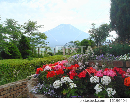 View of Mt. Fuji and flowers in the courtyard of Lake Yamanaka Resort Hotel View of Mt. Fuji and flowers in the courtyard of Lake Yamanaka Resort Hotel 16196404