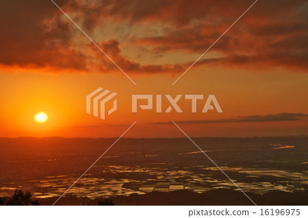 Sunset 5 16196975