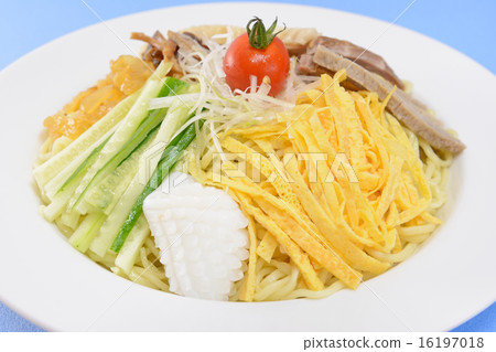 美味的冰鮮雞肉 16197018
