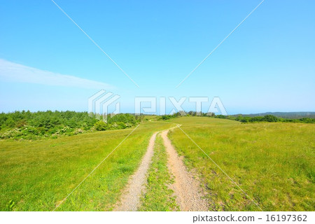 Toriumi Plateau (20) Toriumi Plateau (20) 16197362