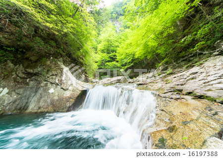 Yamanashi prefecture · Nishizawa gorge clear stream Yamanashi prefecture · Nishizawa gorge clear stream 16197388