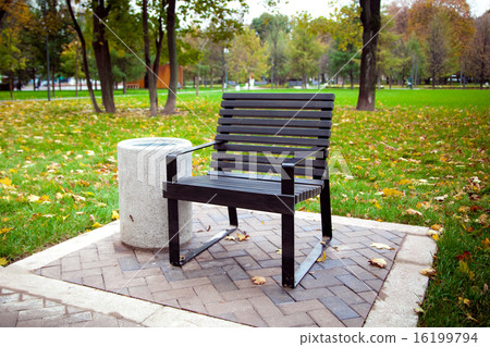 bench in the autumn park 16199794