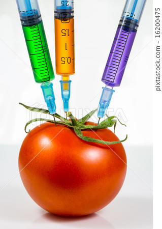 Genetic modification 16200475