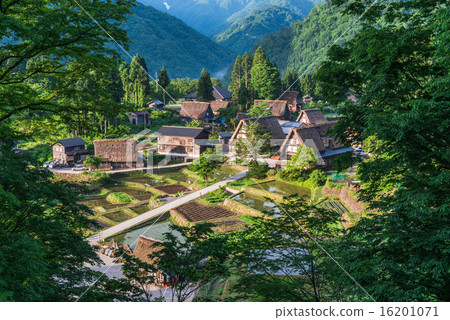 世界遺產Gokayama Aikura Village 世界遺產Gokayama Aikura Village 16201071