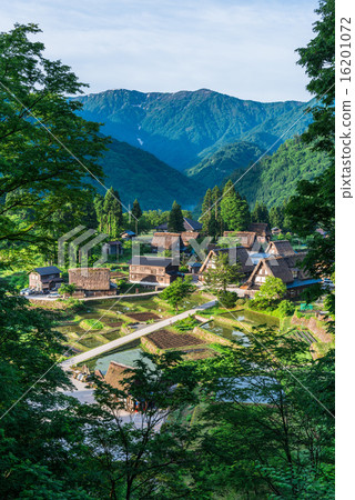 世界遺產Gokayama Aikura Village 16201072