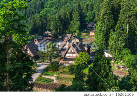世界遺產Gokayama Aikura Village 世界遺產Gokayama Aikura Village 16201109