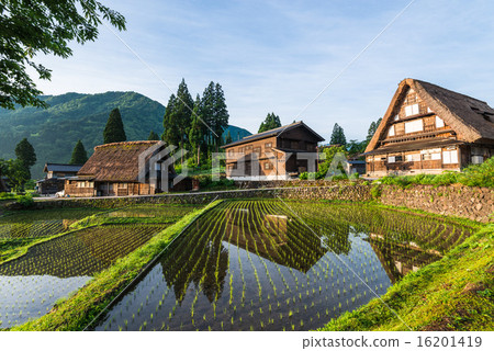 朝日的故鄉建築村世界遺產Gokayama Aikura Village 16201419
