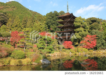 Rurikoji Temple 5 stories and autumn leaves 16201661