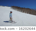 Skiing in fine weather 16202644