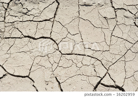 Dried ground - Hot Summer Dried ground - Hot Summer 16202959