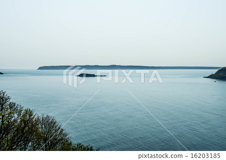 Cape Kiritappu（Akkeshi Town） 16203185