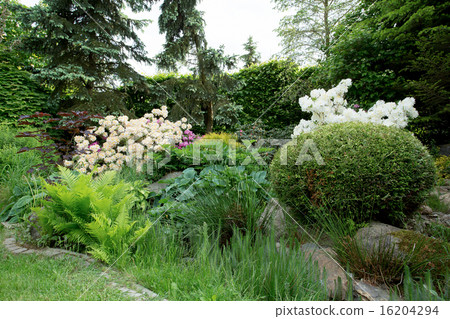 Beautiful spring garden design with rhododendron Beautiful spring garden design with rhododendron 16204294