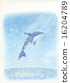 dolphin jump 16204789