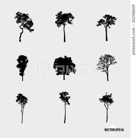 Set of tree silhouettes. Vector illustration. Set of tree silhouettes. Vector illustration. 16206689