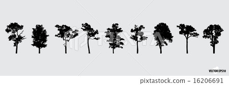 Set of tree silhouettes. Vector illustration. Set of tree silhouettes. Vector illustration. 16206691