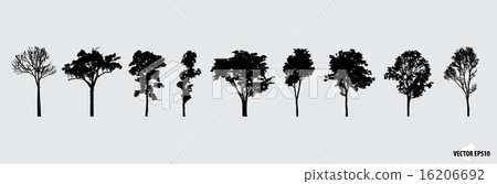 Set of tree silhouettes. Vector illustration. Set of tree silhouettes. Vector illustration. 16206692