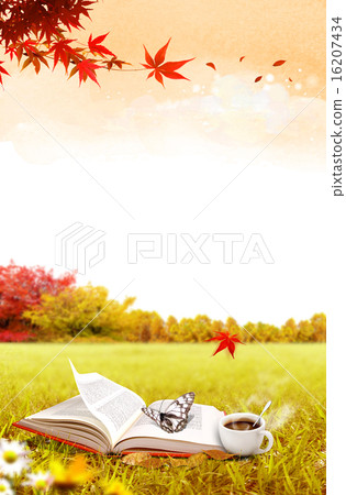 秋天 秋 紅楓 16207434