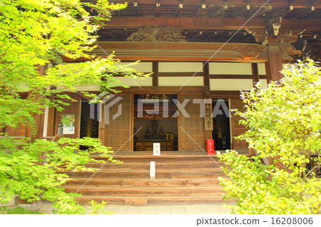 Kiyoshiji Temple Saga Shakado Amidaddo 16208006