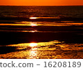 Light in, Nanki coast 16208189