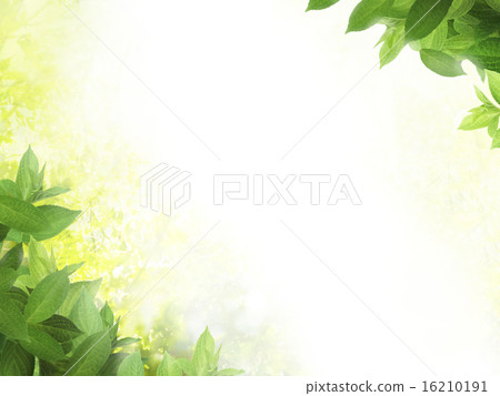 Natural background - leaves - paper 16210191