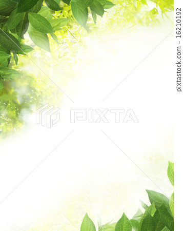 Natural background - leaves - paper 16210192