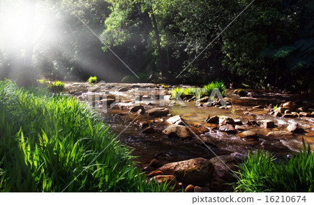 creek in sunshine creek in sunshine 16210674