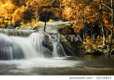 Waterfall in the forest nature background Waterfall in the forest nature background 16210824