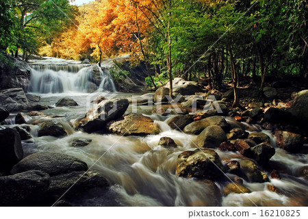 Waterfall in the forest nature background Waterfall in the forest nature background 16210825