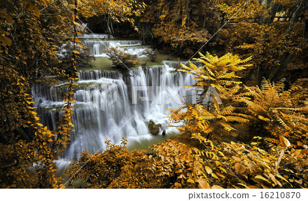 Waterfall in the forest nature background Waterfall in the forest nature background 16210870