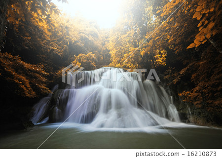 Waterfall in the forest nature background Waterfall in the forest nature background 16210873