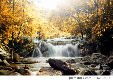 Waterfall in the forest nature background 16210895