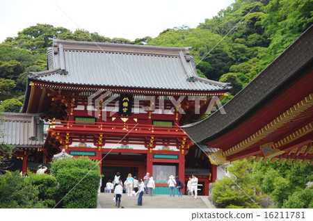 鶴岡八幡宮 16211781