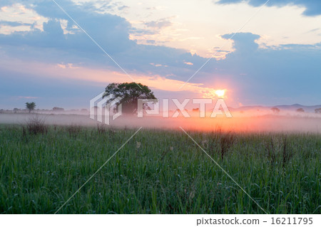 Sun illuminating morning fog 16211795