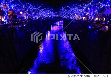 Meguro River Illumination Meguro River Illumination 16211821