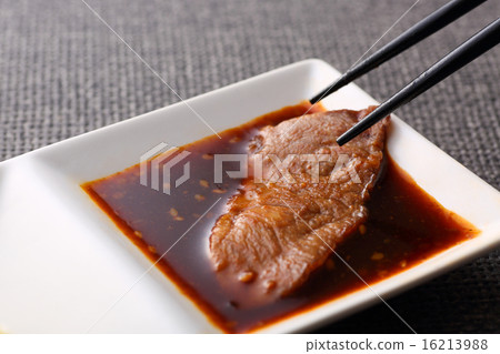 Grilled meat on sauce 16213988