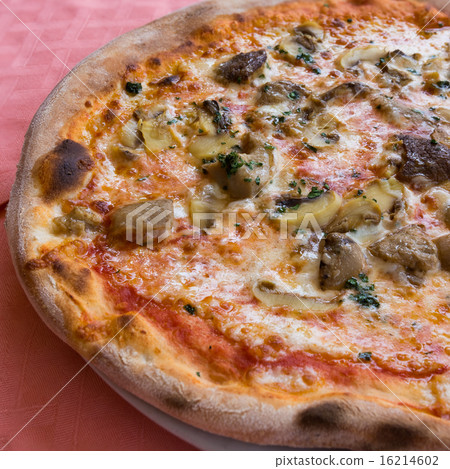 Mushrooms pizza half left side Mushrooms pizza half left side 16214602