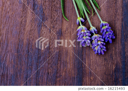 branches of a lavender branches of a lavender 16215493