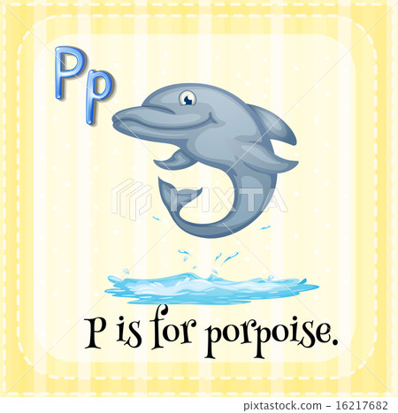 Porpoise 16217682