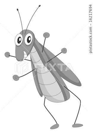 Grasshopper Grasshopper 16217694