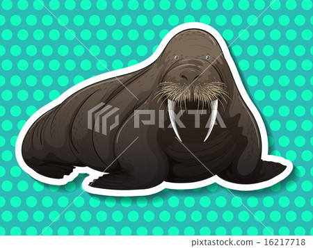Walrus 16217718