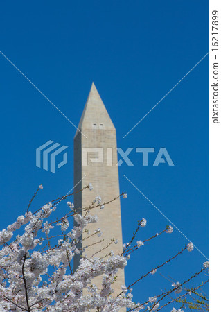 National Monument in Washington DC 16217899