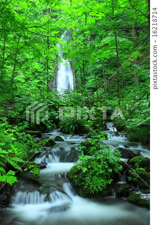 Oirase小河在Yunii落 16218714