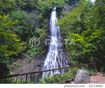 Tendou（下降約100米）/“日本100瀑布”/“山嶽山山國家紀念碑”/ 100森林浴林 16219666