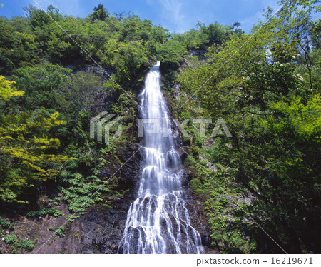 Tendou（下降約100米）/“日本100瀑布”/“山嶽山山國家紀念碑”/ 100森林浴林 16219671