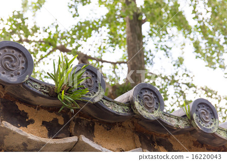 Japanese landscape Kushida Shrine Premises in the precincts Wall with tile roof and Nixinobu 16220043